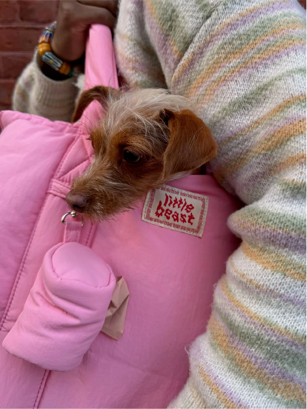 The Little Beast Carrier - Rosé