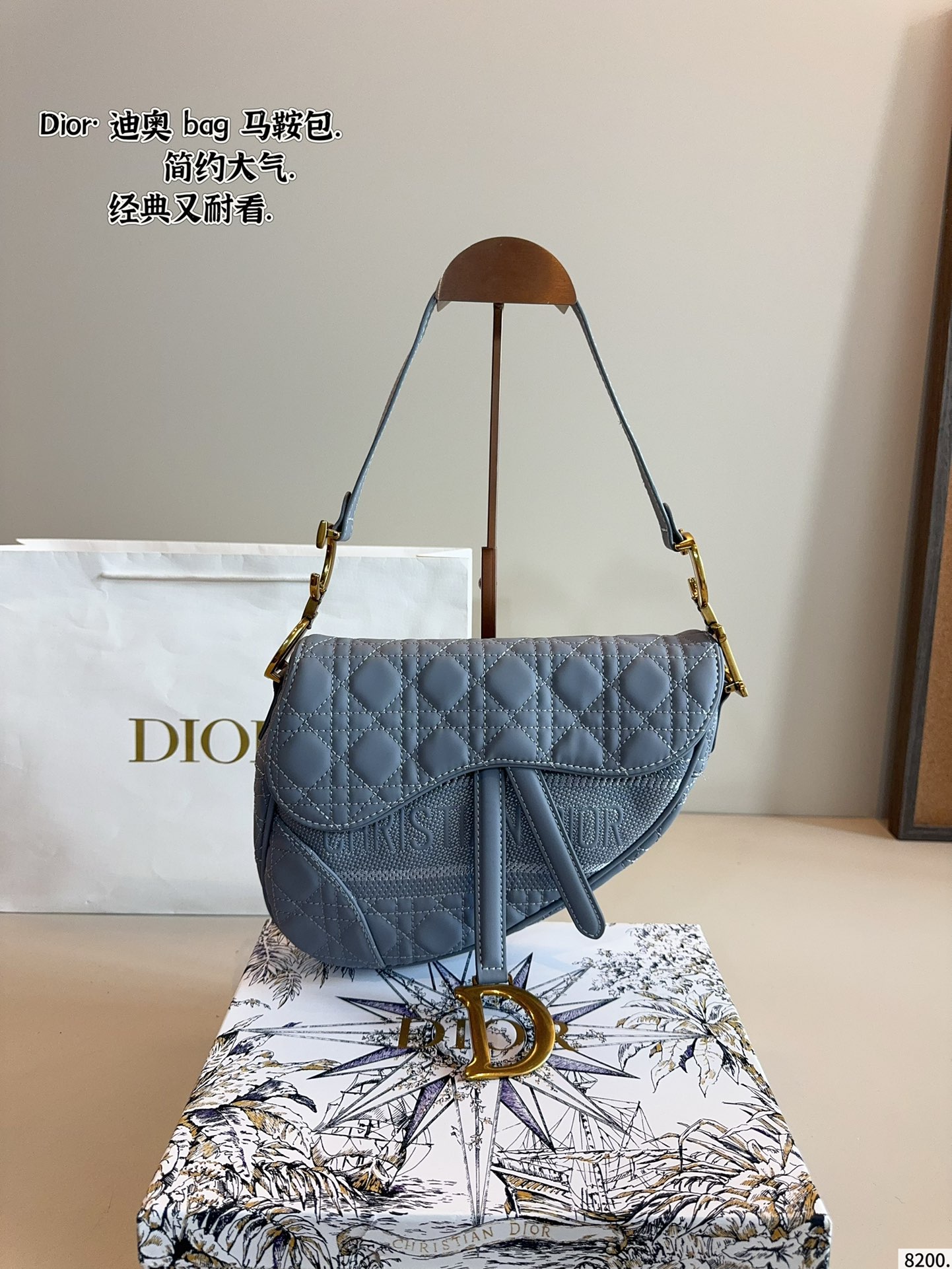 Dior new saddle bag Roman style shoulder strap - cnluxepick