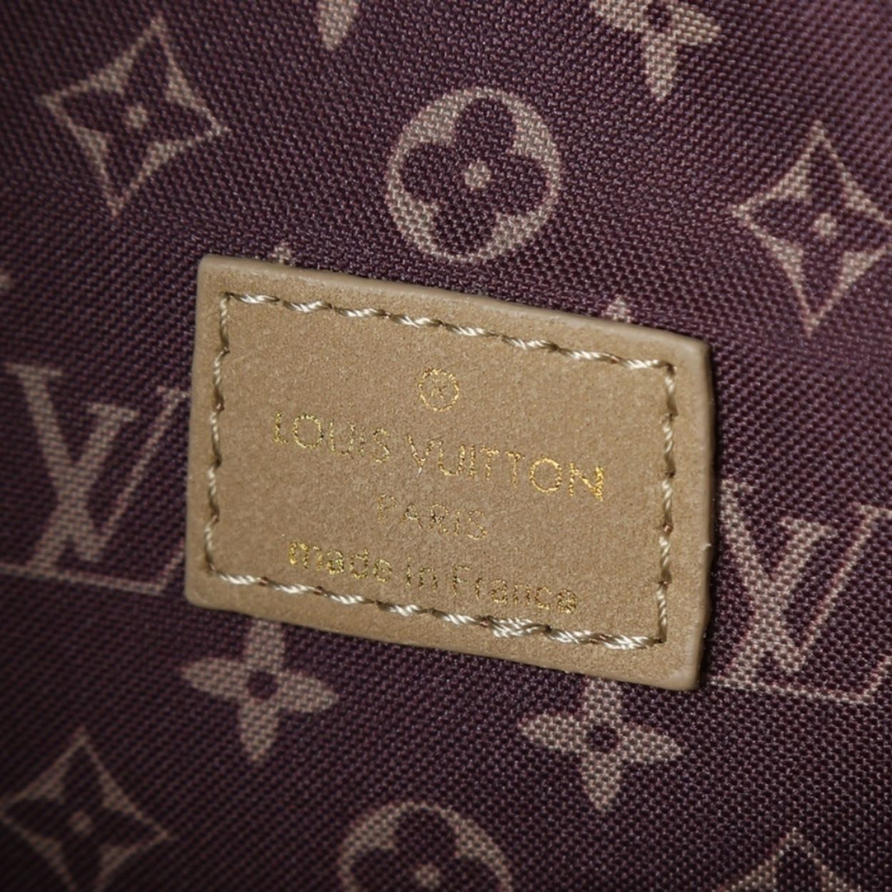 Louis Vuitton GM Express Travel Hazelnut 17.7 Inches M26451