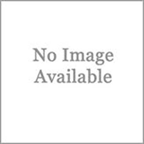 Guardian DH-SP-26E Modular Speed Bump End Cap