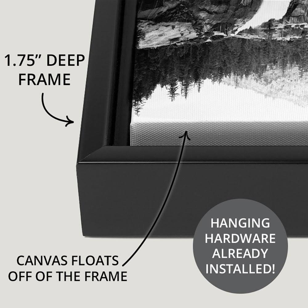 Flow 251x22 Black Float Frame Canvas Art - 24 x 18