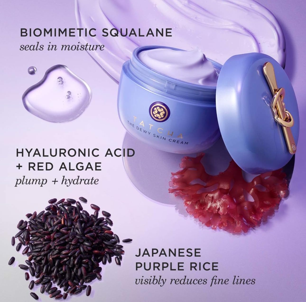 50 ML The Dewy Skin Cream | Rich Face Cream to Hydrate, Plump and Protect Dry and Combo Skin