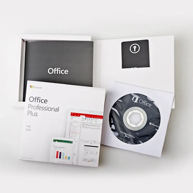 Office 2019 Professional Plus DVD Box