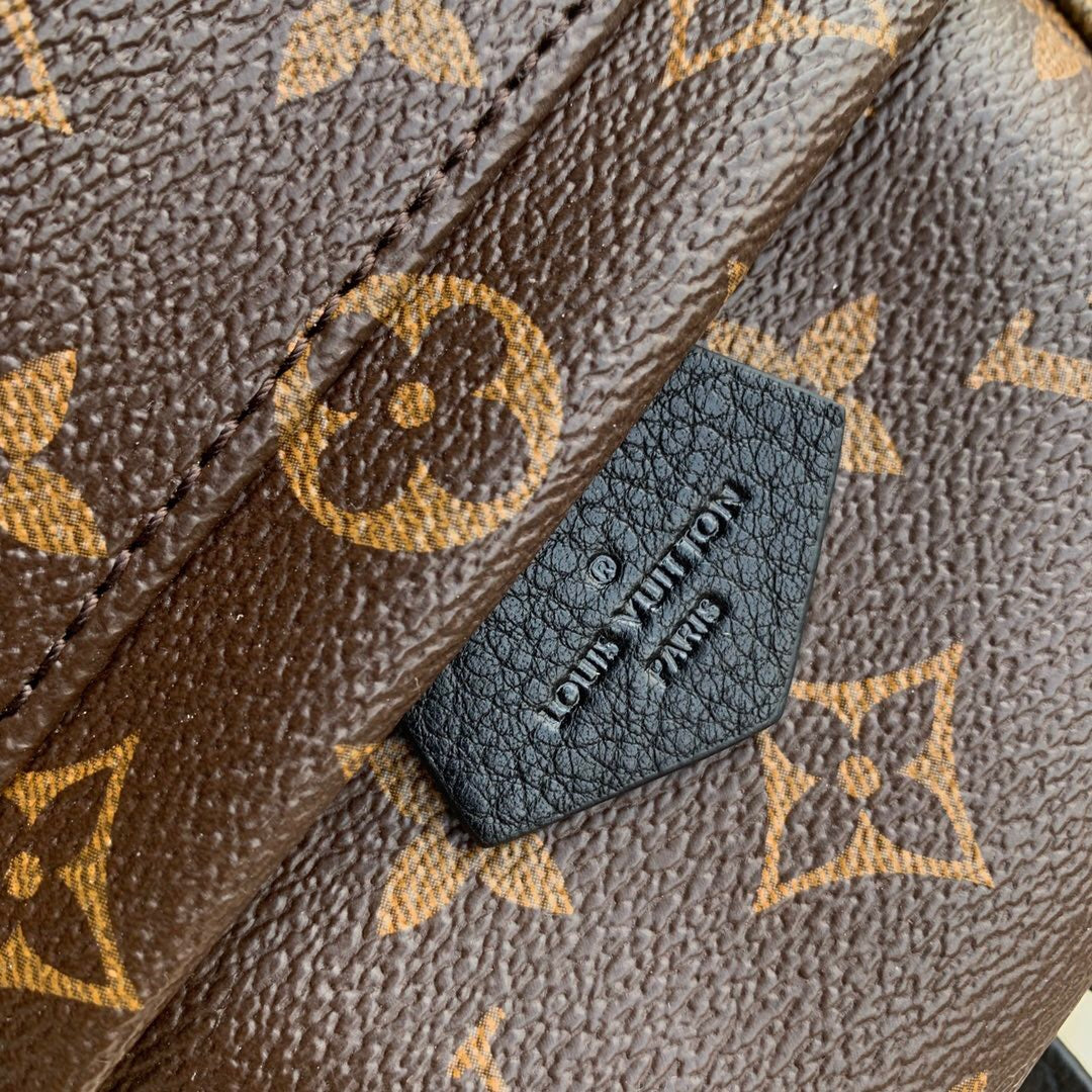 Louis Vuitton Palm Springs Backpack PM Monogram Canvas – 22cm/8.7in
