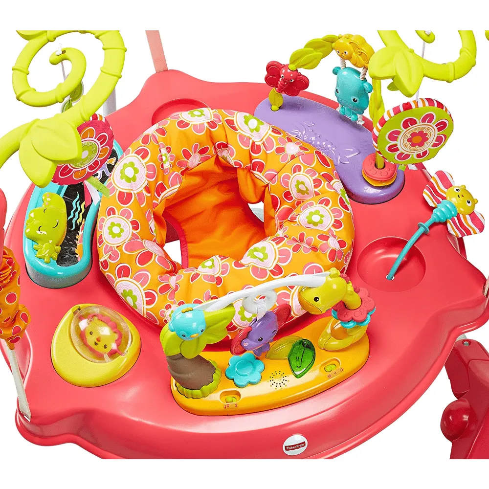 Fisher-Price Jumperoo, Pink Petals