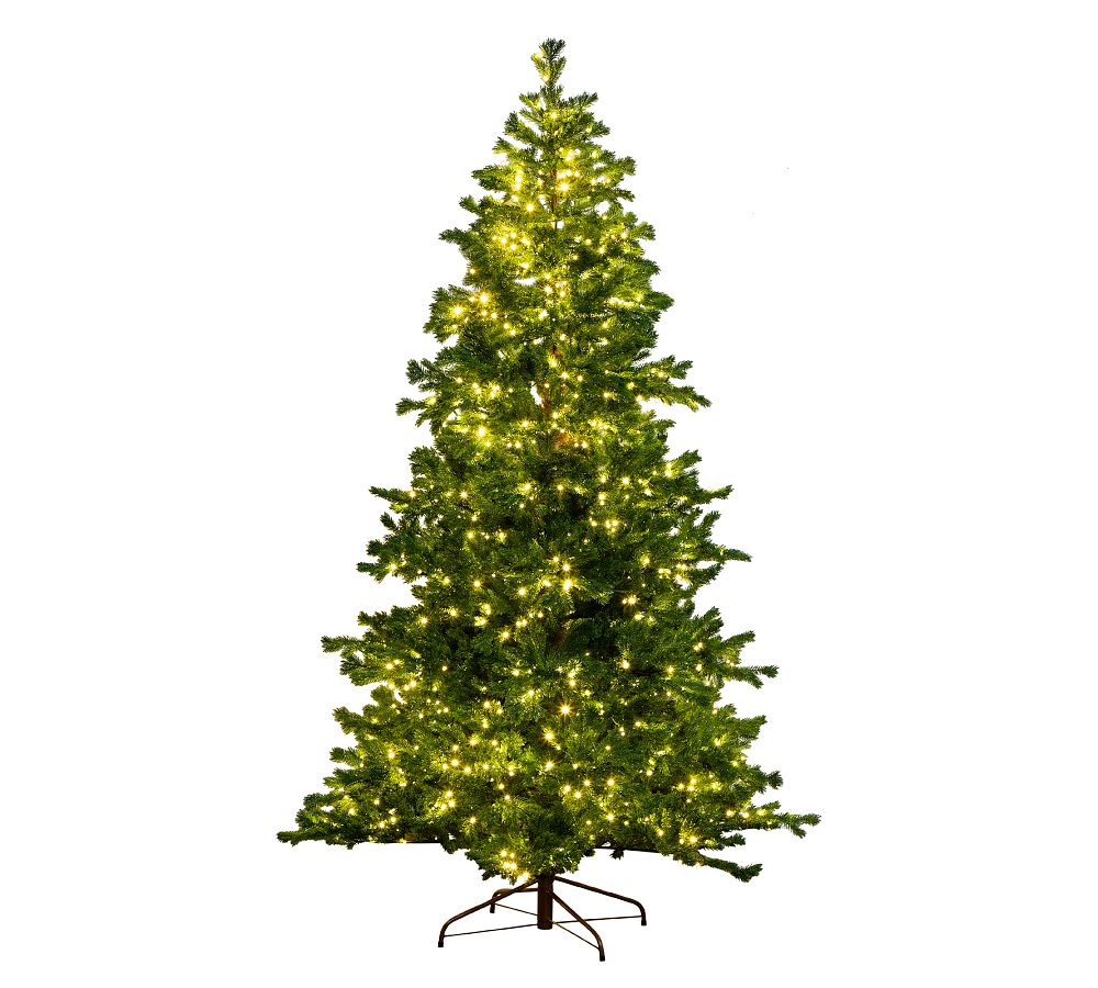 Faux Lit Multi-Color Spruce Fir Tree  sgtnighsdesigns