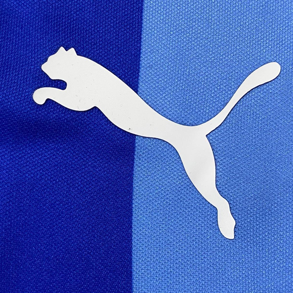 Retro Chivas 2017/18 110th Anniversary Jeresy Long Sleeves