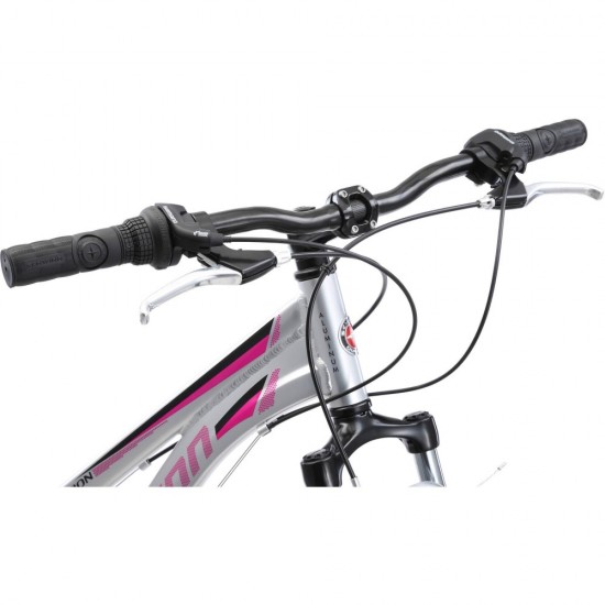 700C Connection Women’s Multi-Use Bike, Silver