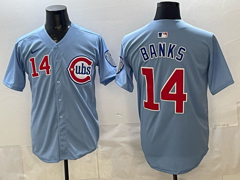 Men's Chicago Cubs Ernie Banks #14 Baby Blue 2nd Alternate Limited Player Jersey