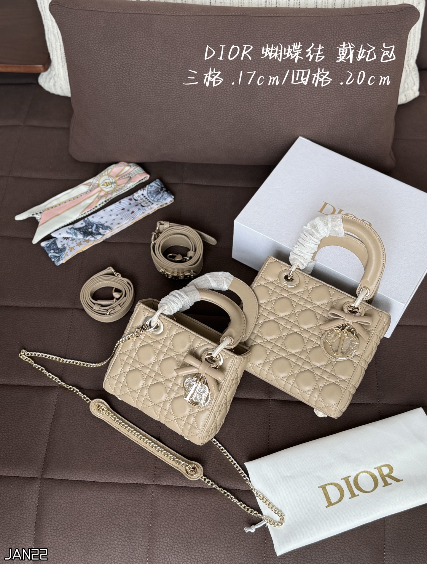 DIOR Lady D Tote Bag - cnluxepick