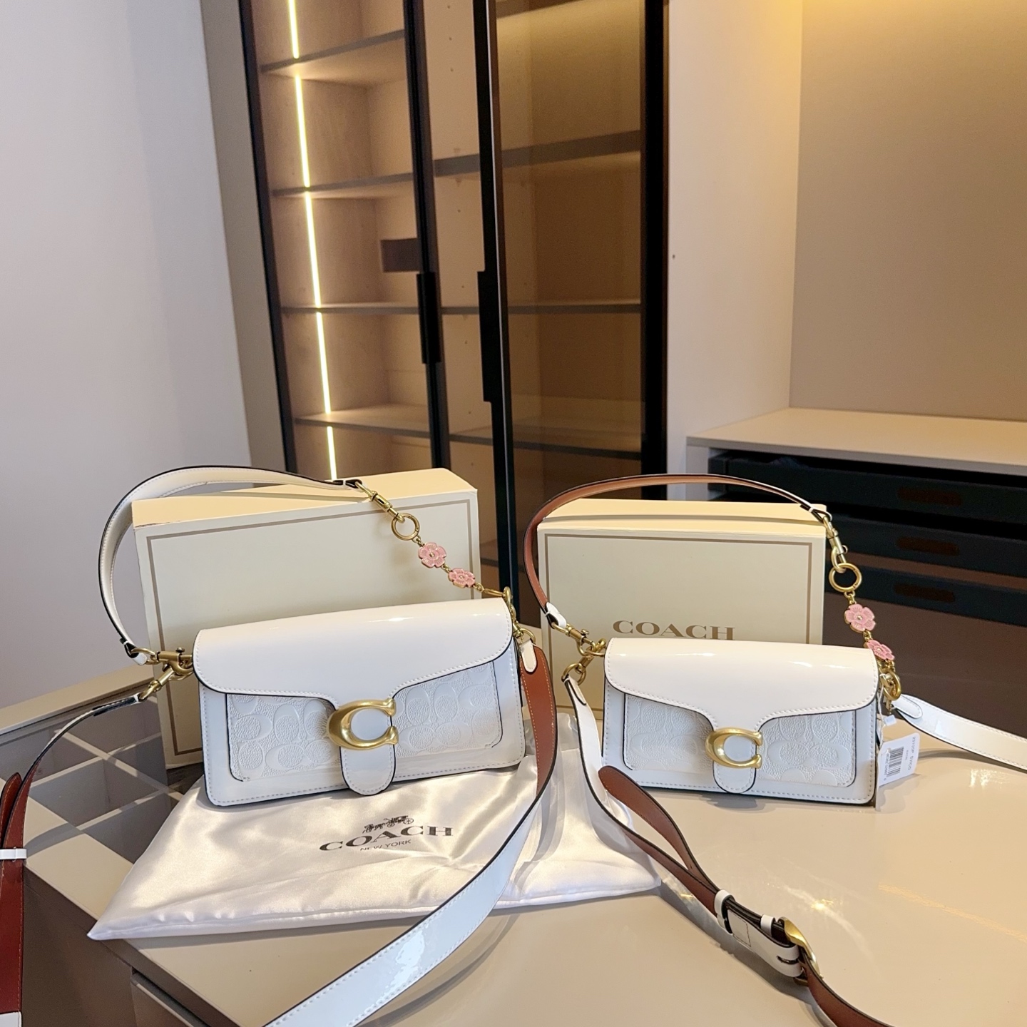 Coach's new patent leather embossed Dionysus bag tall version - cnluxepick
