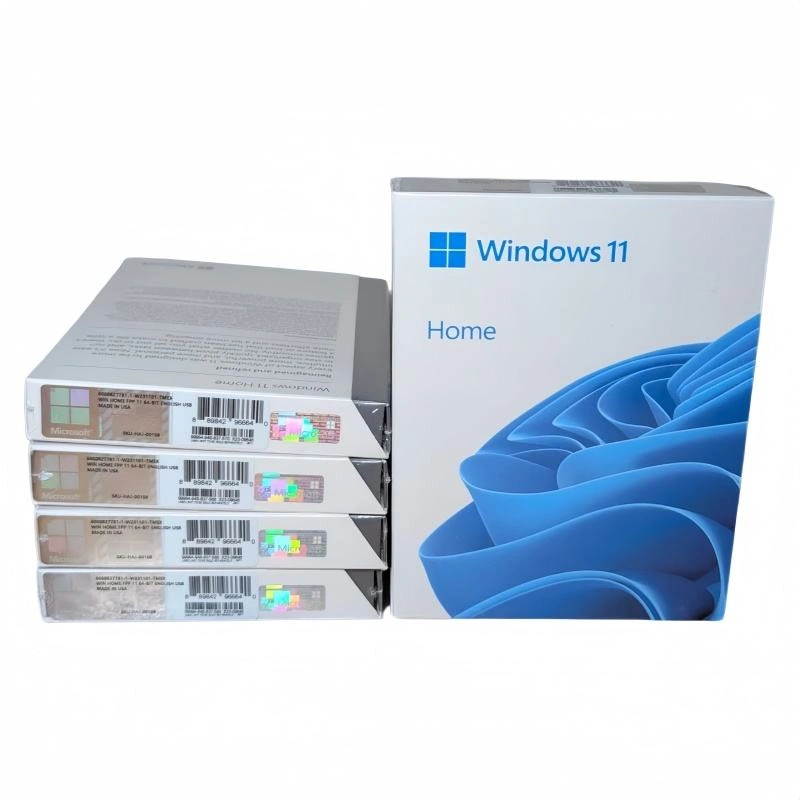 Windows 10 Home USB Box