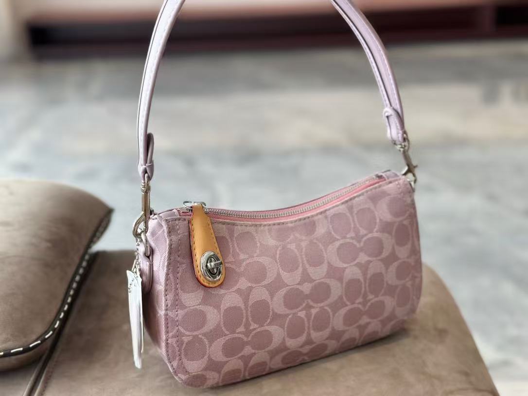 Coach Swinger20 Underarm Bag - cnluxepick