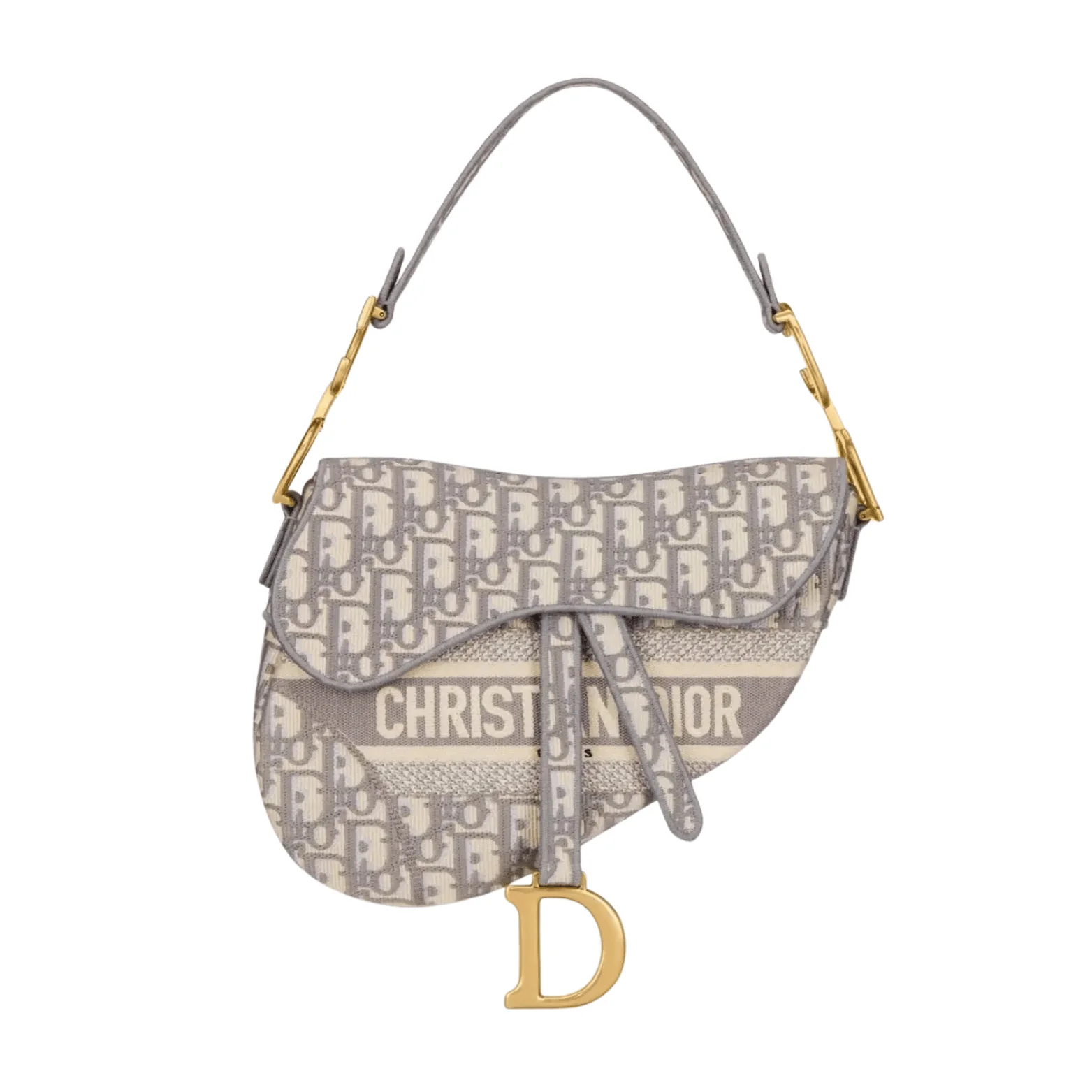 Dior Bag | Saddle Bag