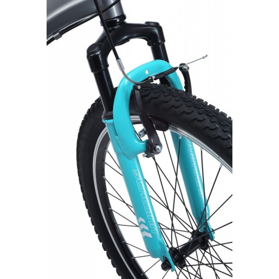 Sidewinder Mountain Bike, 26-inch wheels, womens frame, silver/blue