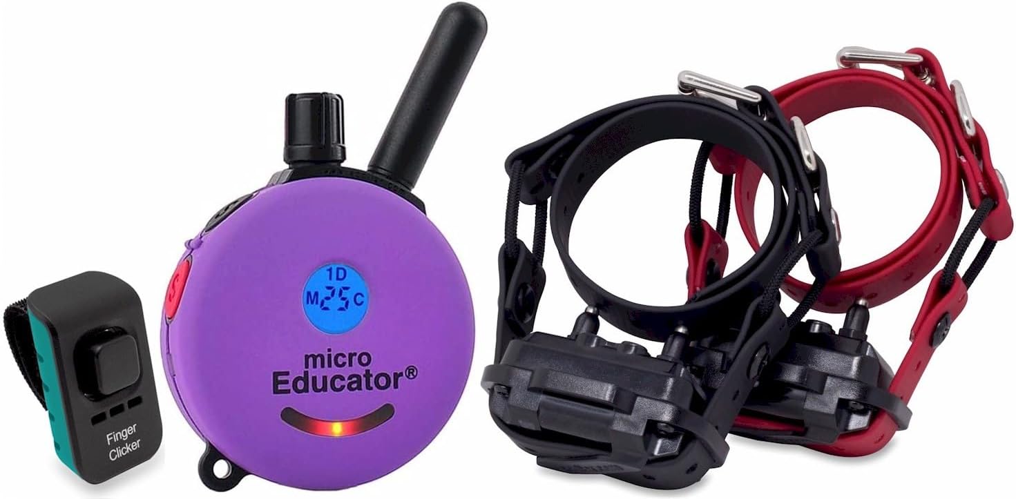 Humane Dog Training Collar with Remote, Features 100 Levels of Safe Stimulation, Tapping Sensation, Night Light, Waterproof, Rechargeable, 1 Mile 1 Dog, Black