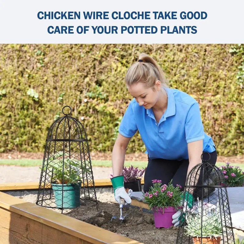 Yolid 6-Pack Garden Cloches – Wire Mesh Plant Protectors for Seedlings