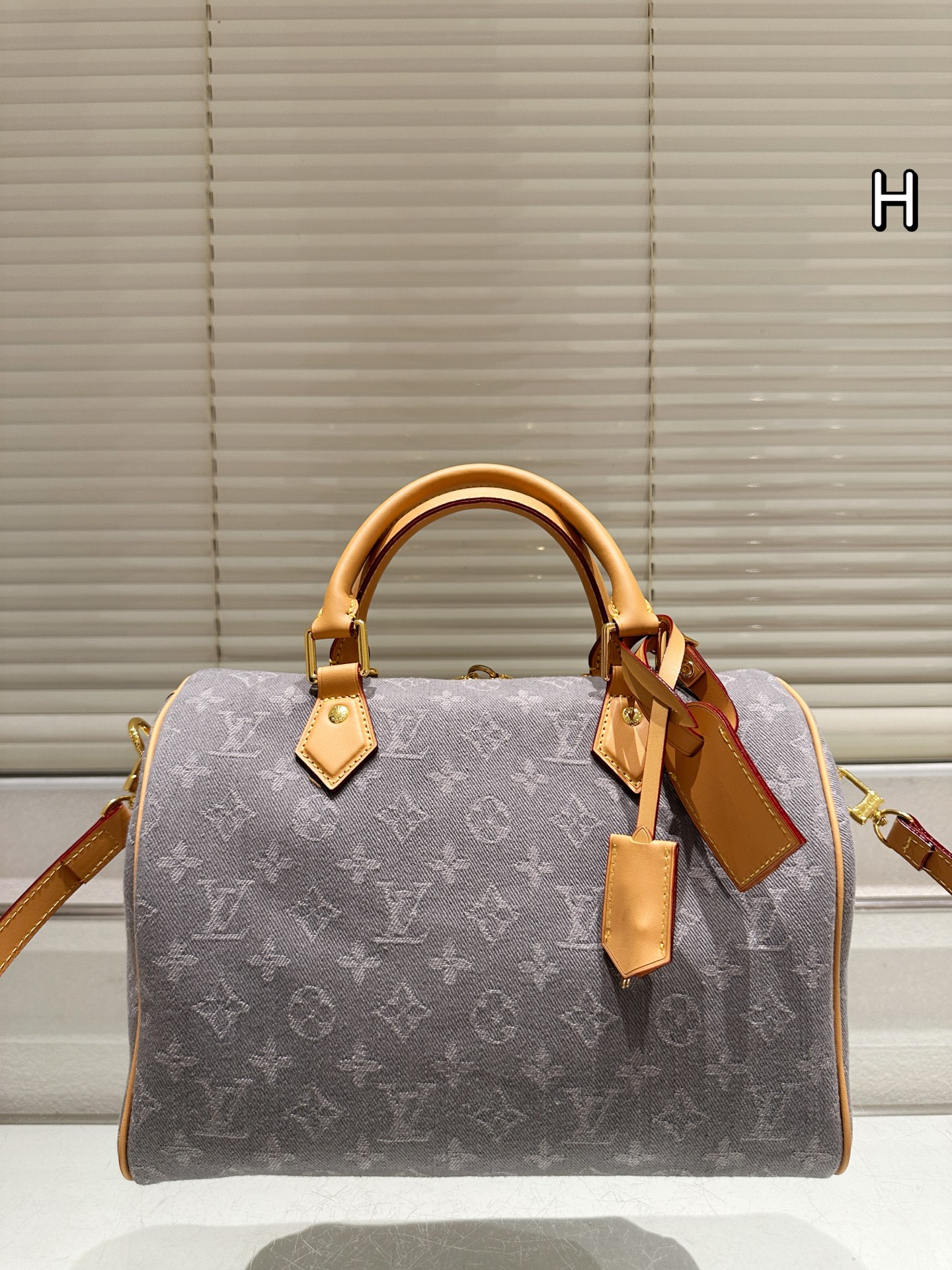 LV Speedy Pillow Bag - cnluxepick