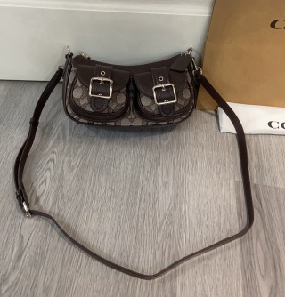 Coach Ashton Baguette Bag - cnluxepick