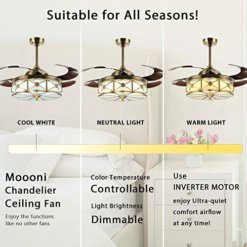Moooni 36 inch Reversible Retractable Ceiling Fan with Lights and Remote Dimmab