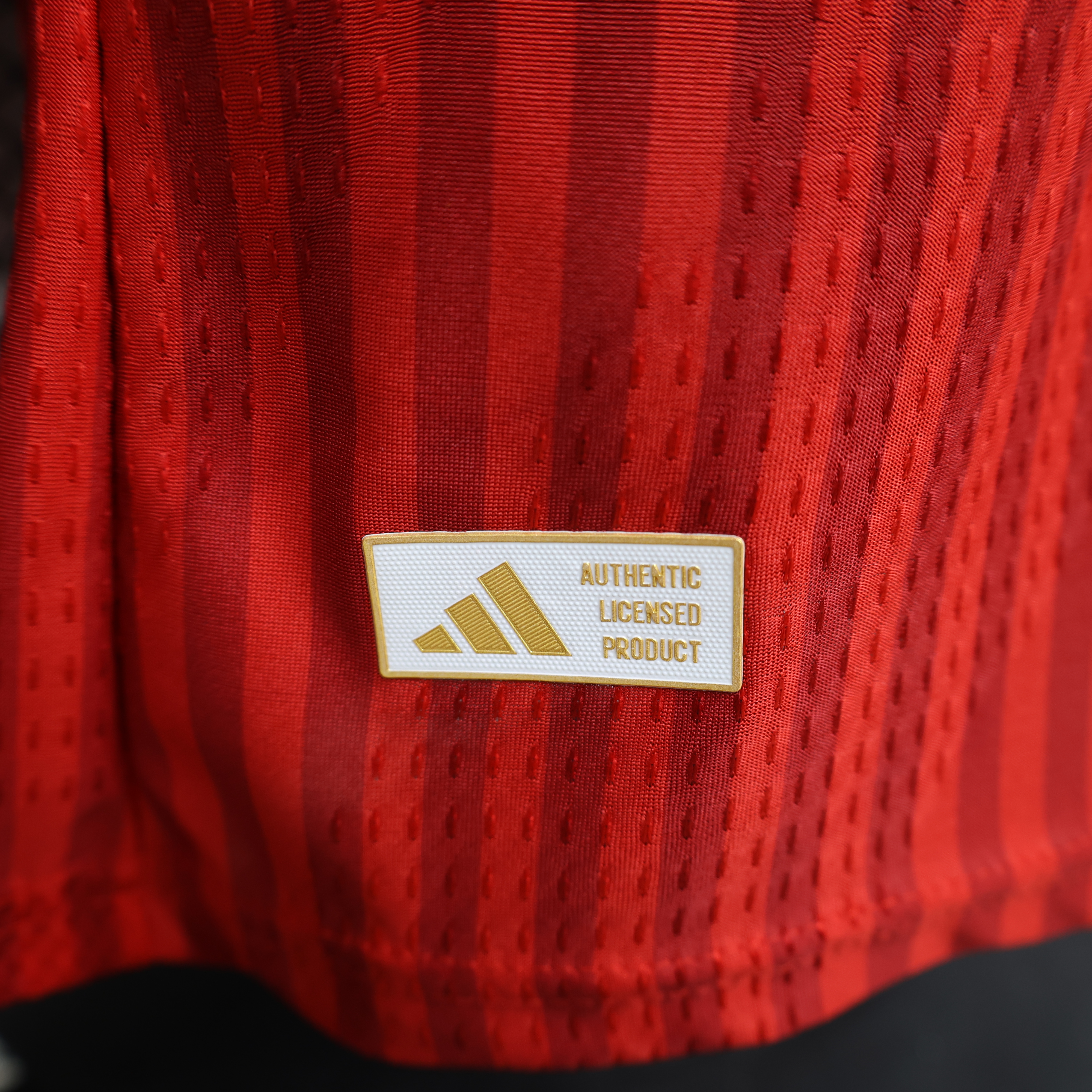 Player Version Bayern München  Men Jersey Home 26-27 S-4XL