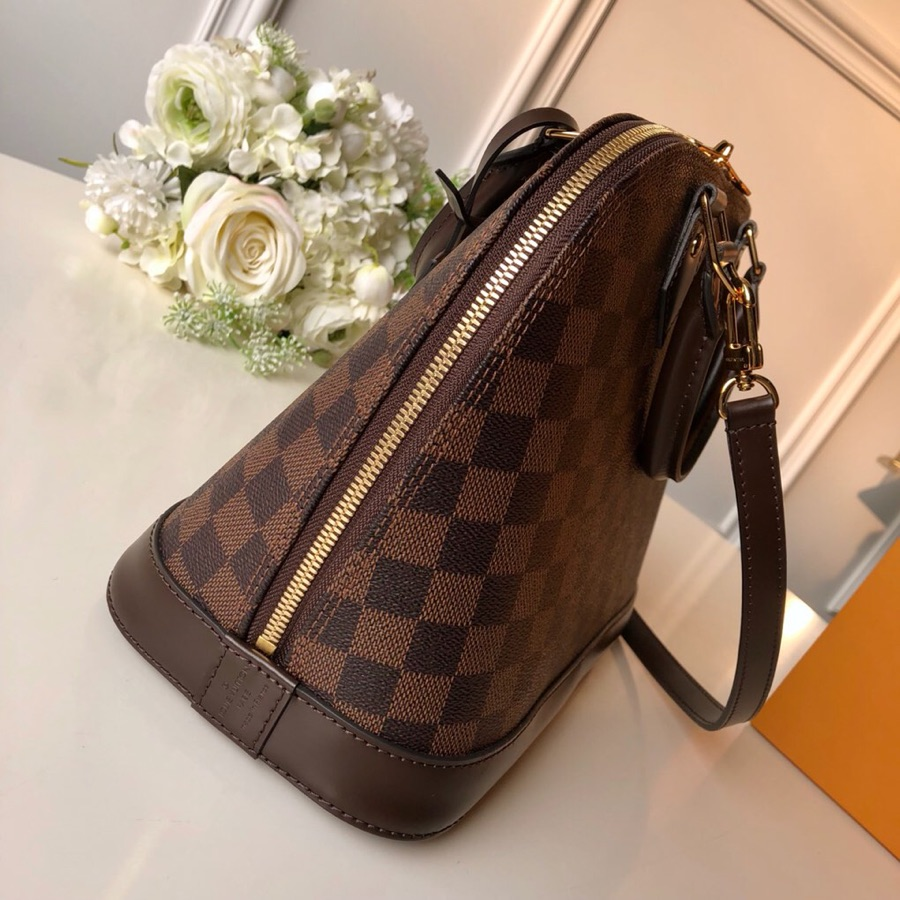 Louis Vuitton Alma Pm Damier Ebene