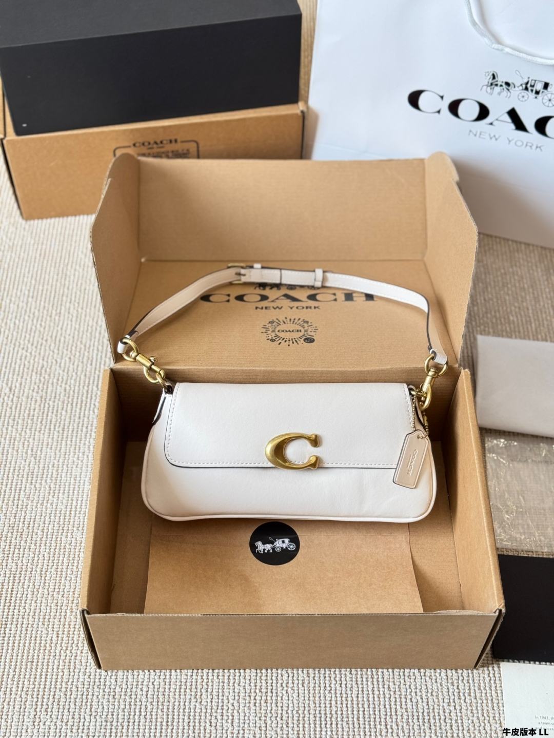Coach Jet Series Shoulder Crossbody Bag - cnluxepick