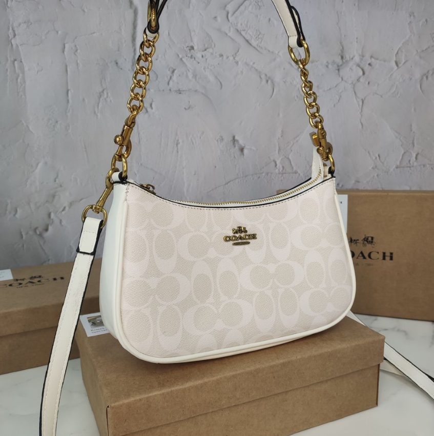 Coach Underarm Handbag - cnluxepick