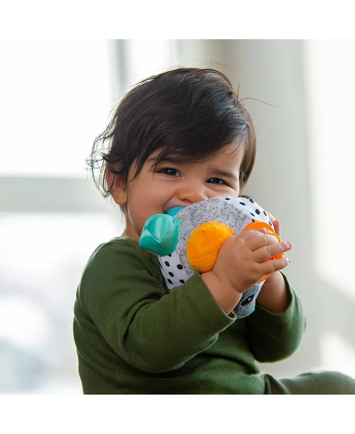 Sassy Baby Sassy Bumpy Badger Developmental Baby Toy, 0 months plus
