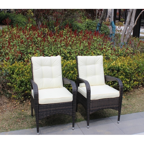 Outdoor Patio Furniture Set Conversation Set 2Piece Resin Wicker Dining Sofa Chair Set for Patio,Backyard,Garden,Meadow
