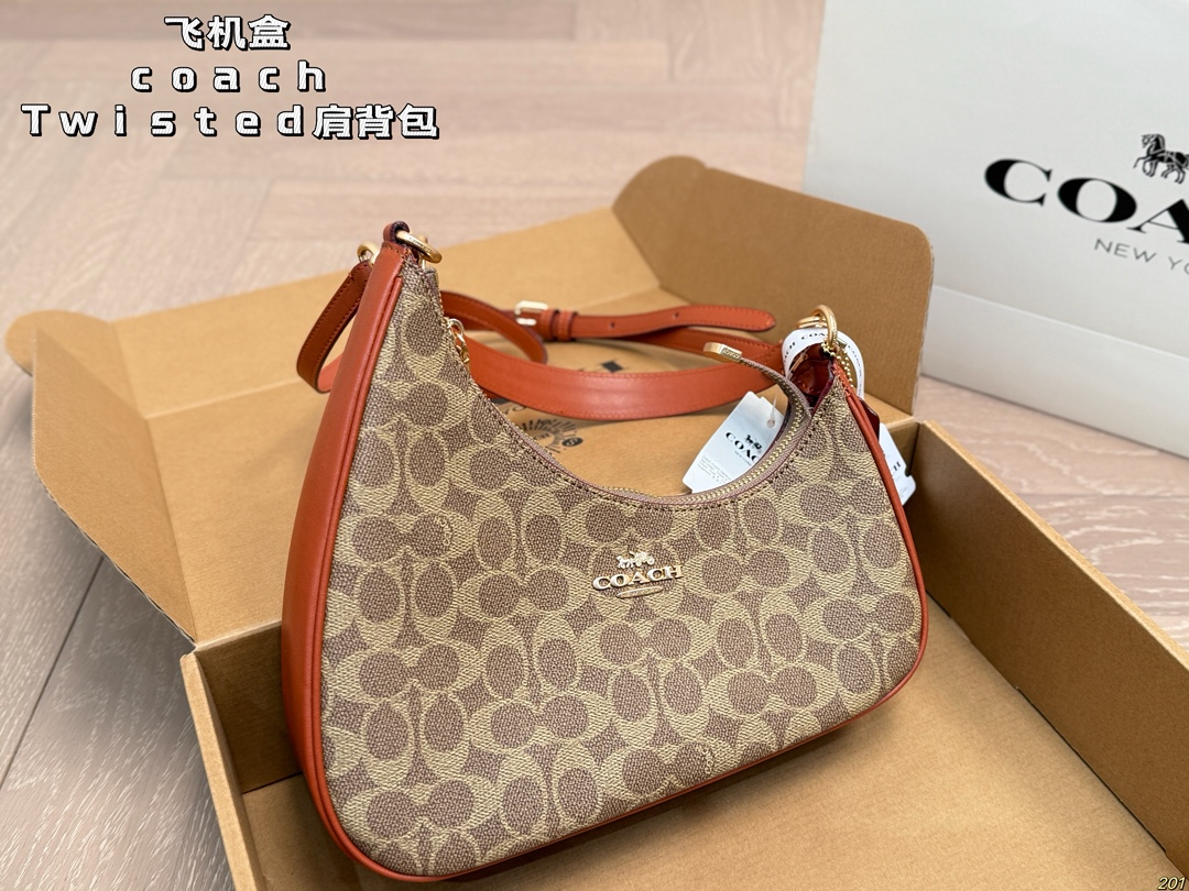 Coach Twisted Teri Shoulder Bag - cnluxepick