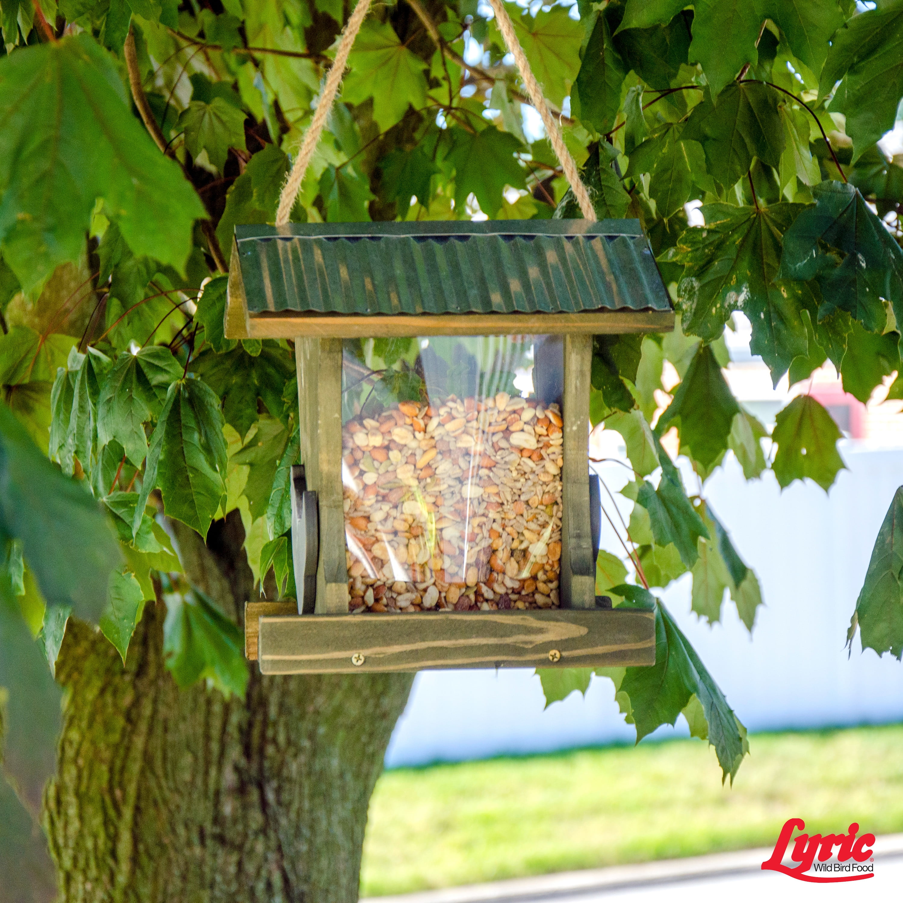 Lyric Delite Wild Bird Seed, No Waste Bird Food with Shell-Free Nuts & Seeds - 20 lb. Bag