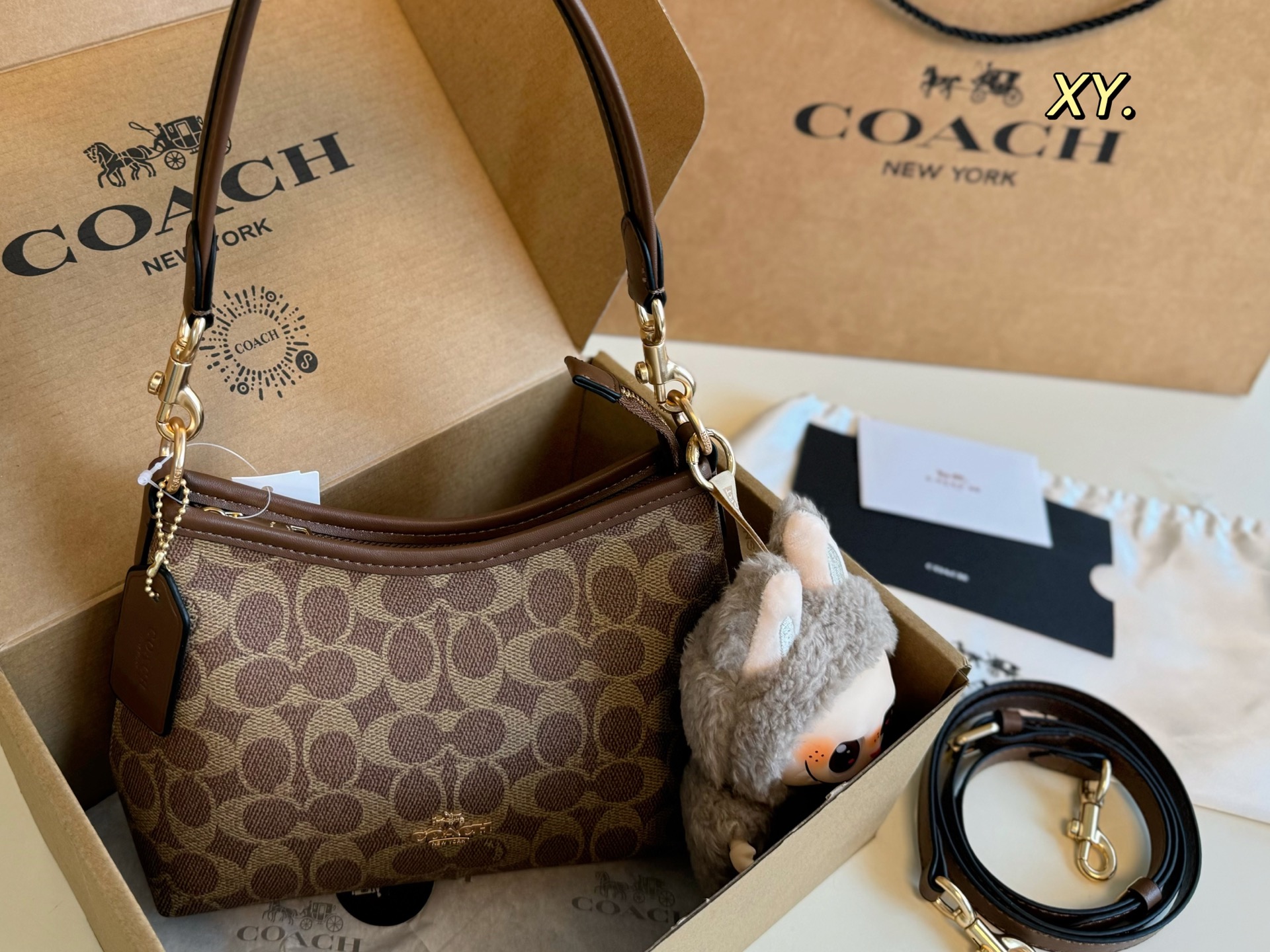 Coach mini Laurel Hobo Bag - cnluxepick