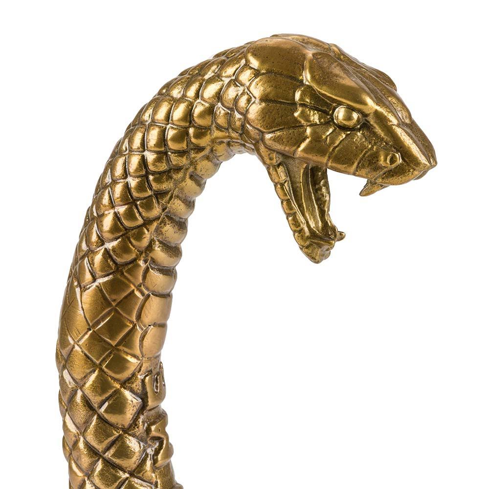 Wunderkammer Snake Seletti
