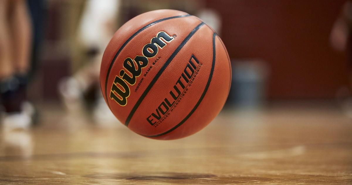 Wilson Evolution Official Game Basketball  29.5