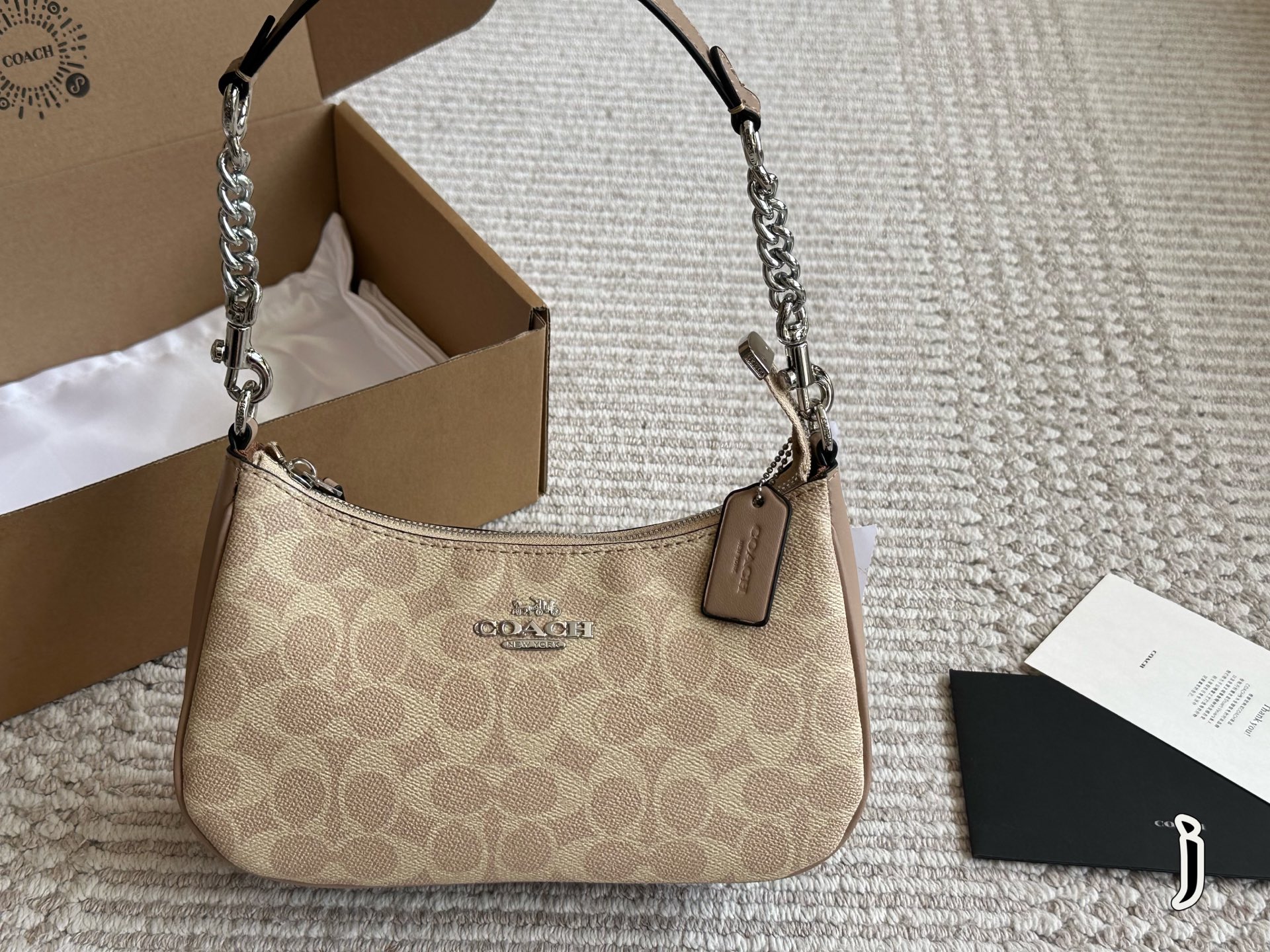 Coach Teri Underarm Bag - cnluxepick