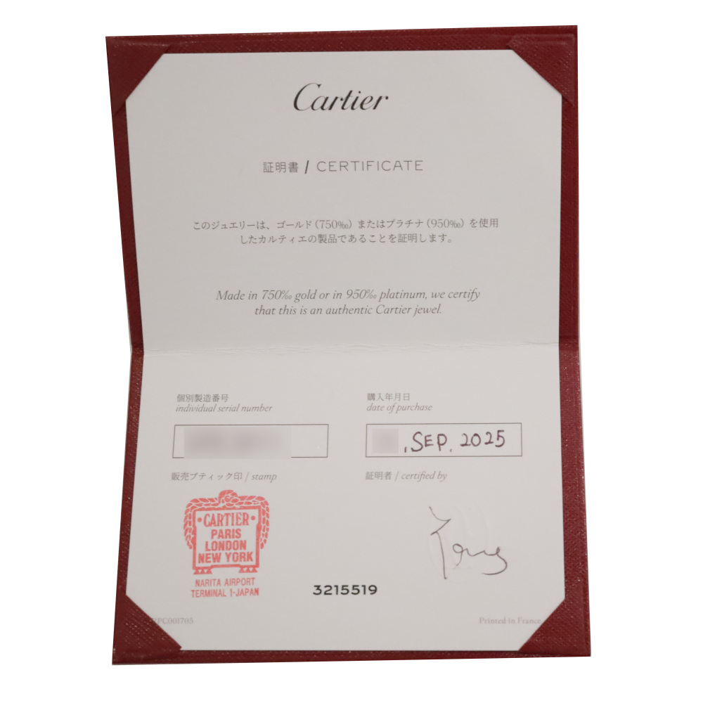 Cartier Santos Bracelet 18K Yellow Gold B6090300