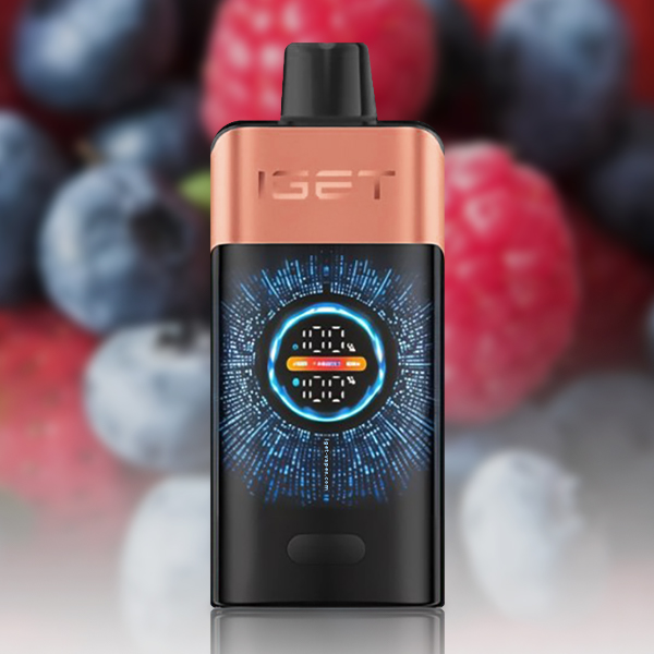 IGET ONE 12000 Puffs Disposable Vape|3-5-10pcs