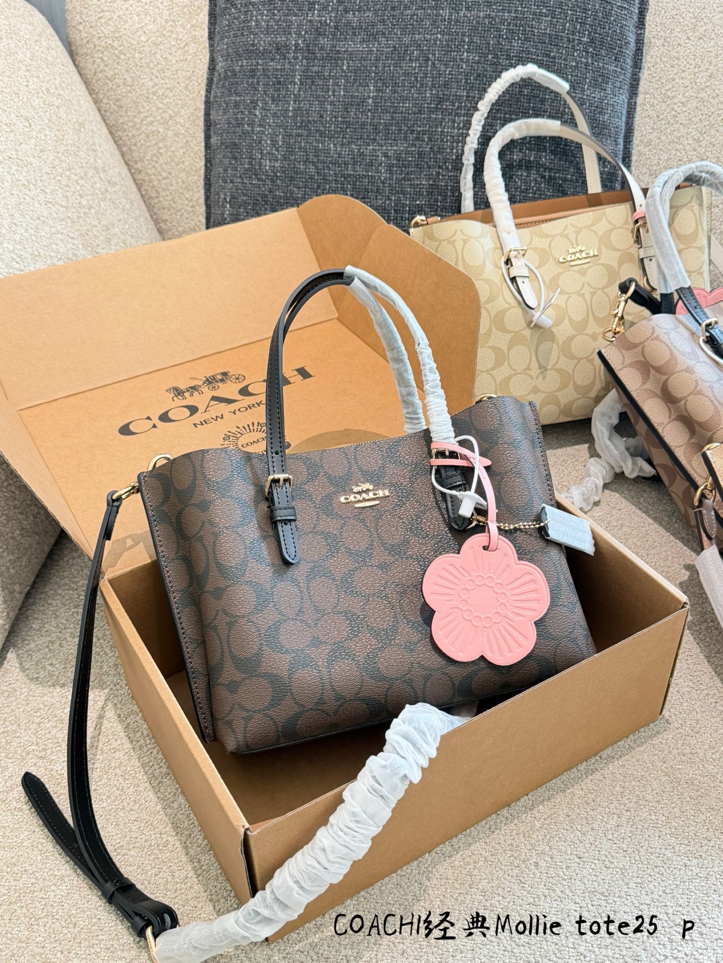 COACH Mollie 25 Tote Bag - cnluxepick
