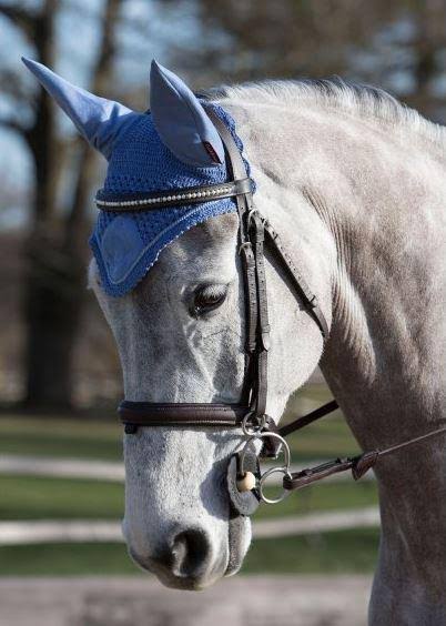 LeMieux Signature Fly Hood