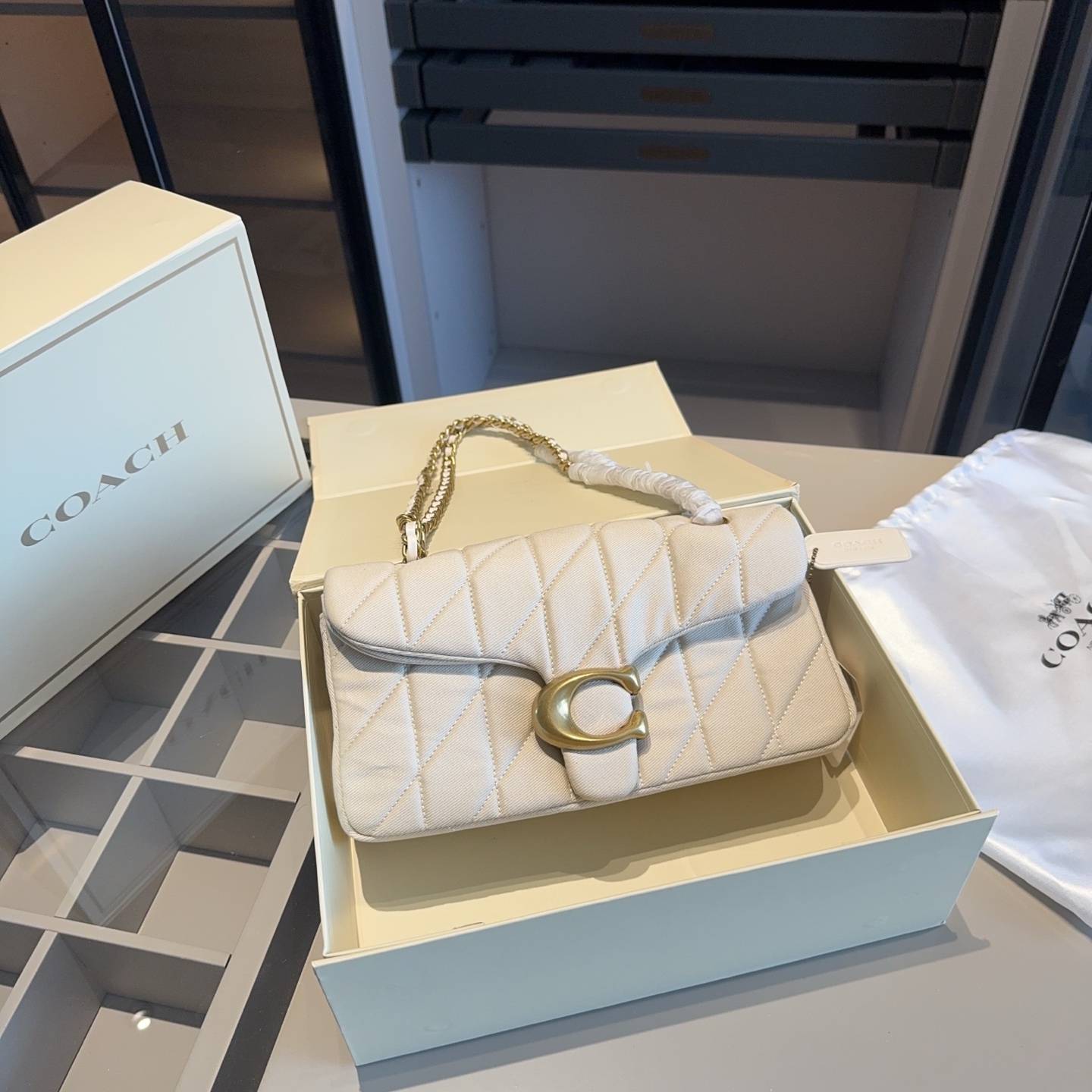 Coach Macaron denim Tabby bag - cnluxepick