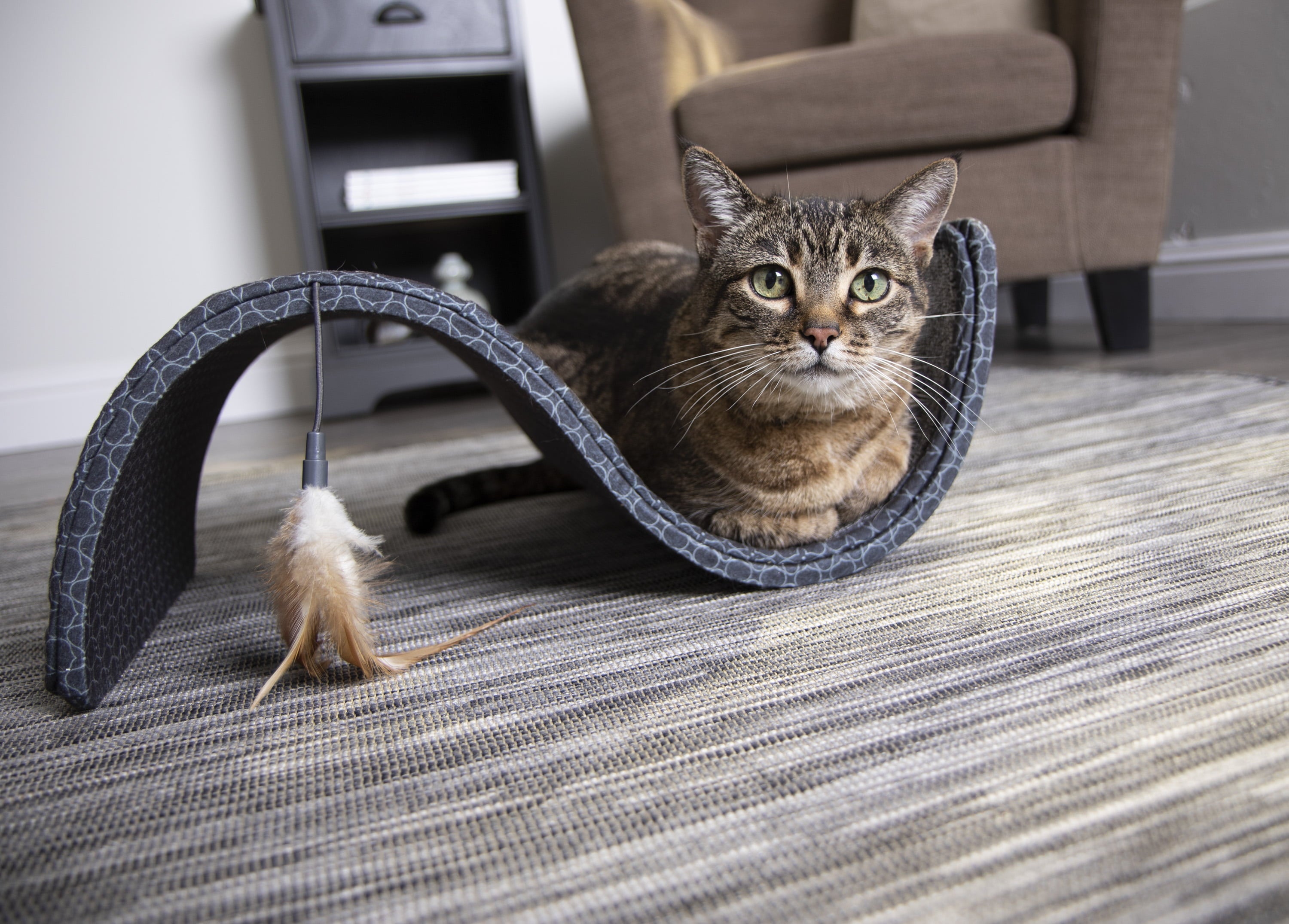 SmartyKat Scratch Scroll with Feather Toy, Multi-Surface Sisal and Carpet Cat Scratcher, Interactive Scratching Outlet and Lounger