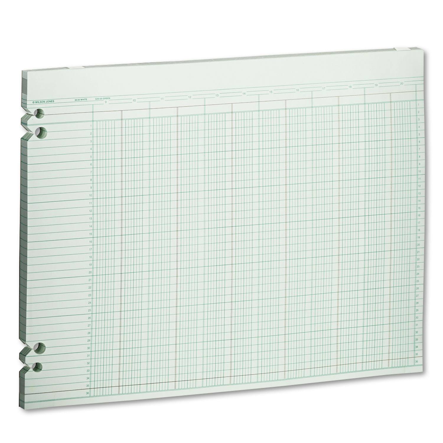 Wilson Jones - Accounting Sheets, 20 Columns, 11