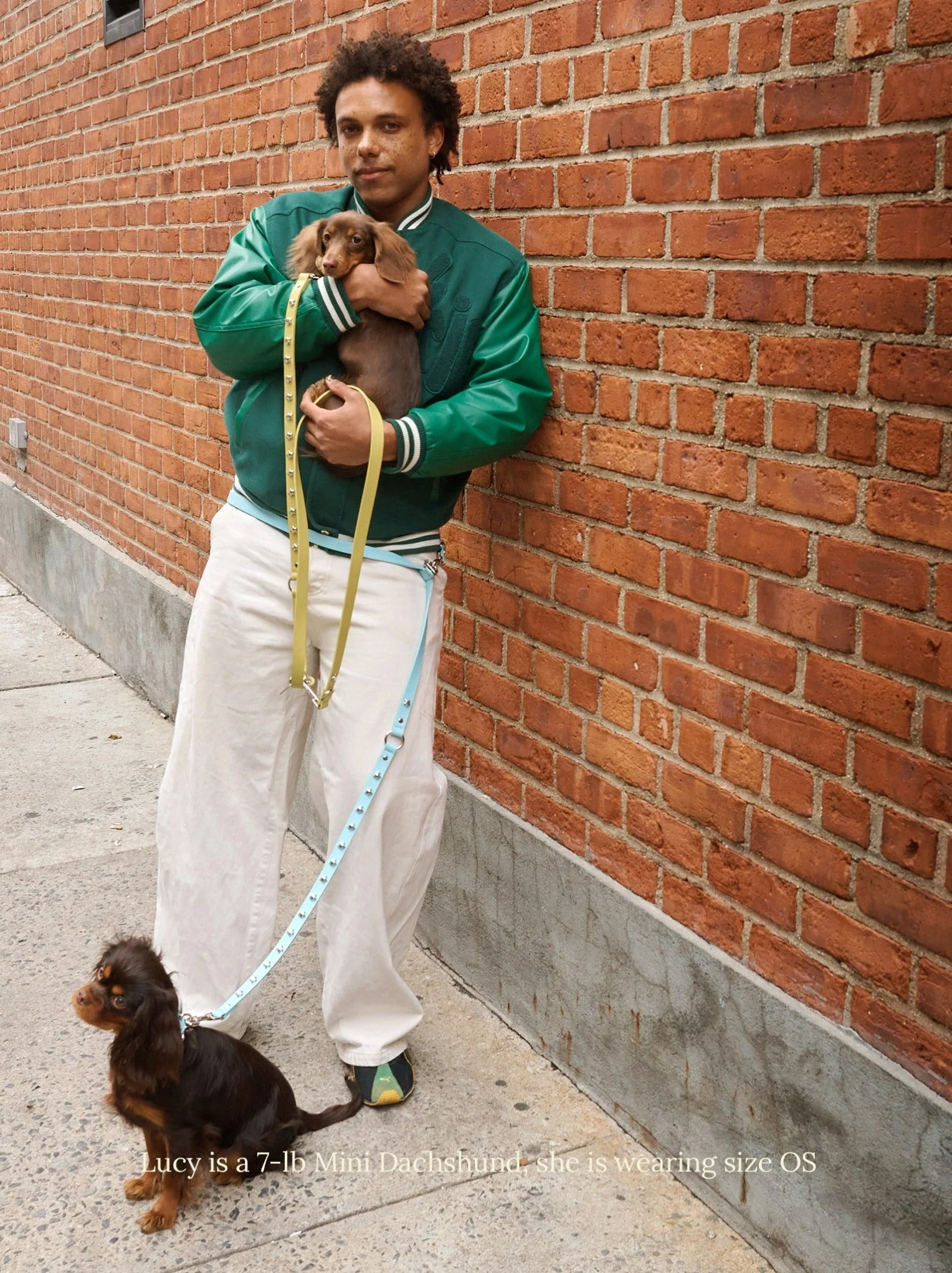 Cowboy Leash - Olive