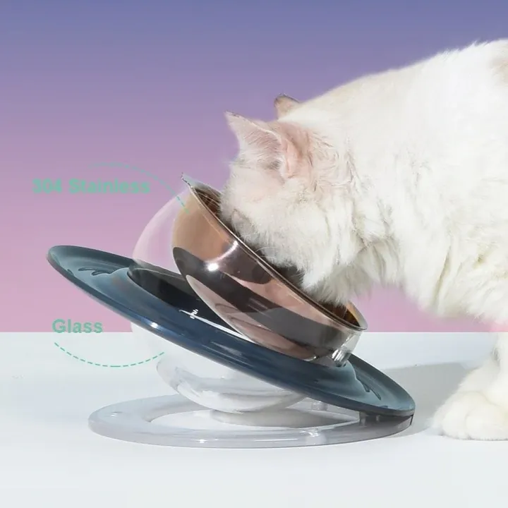 Planet Shaped Cat Bowl