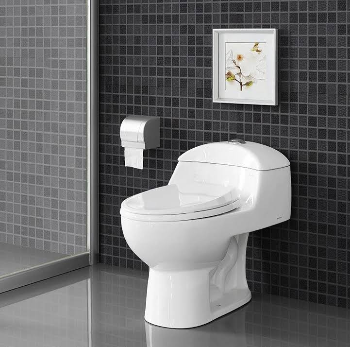 Swiss Madison SM-1T803 Chateau Dual Flush Elongated One-Piece ToilettSeat, White