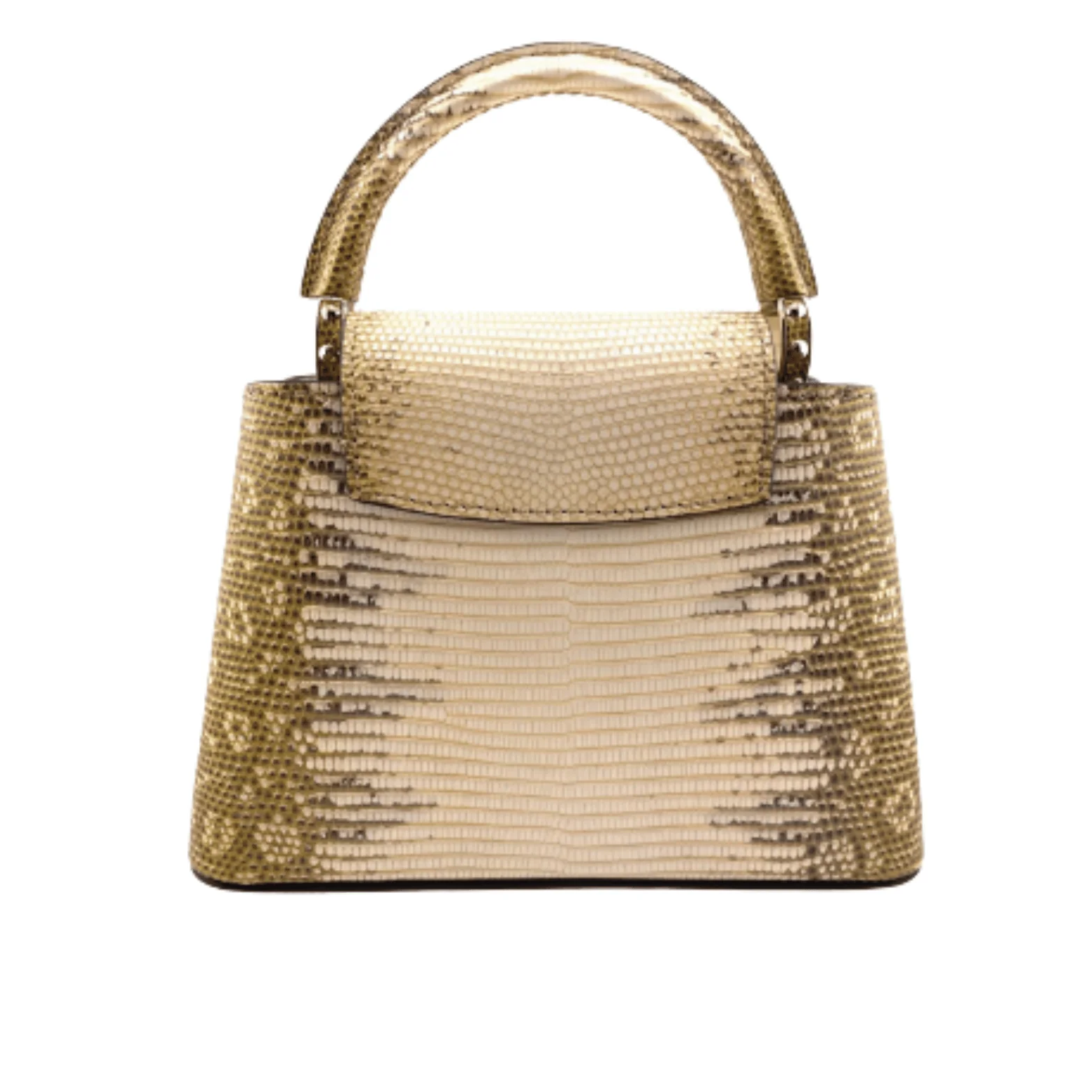 Louis Vuitton Bag | Capucines Gold-Colored Snakeskin