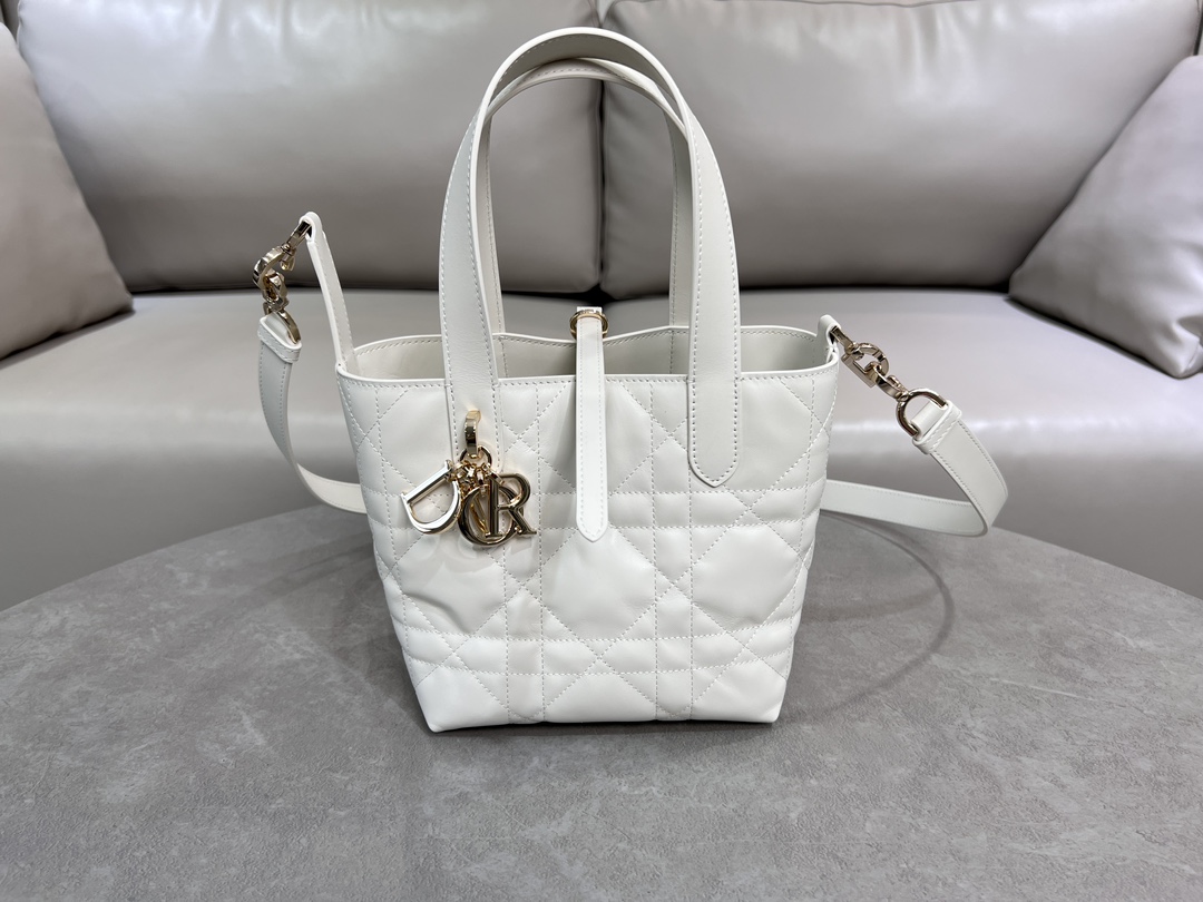 Dior Toujours CD Lock Christian Dior Paris handbag - cnluxepick