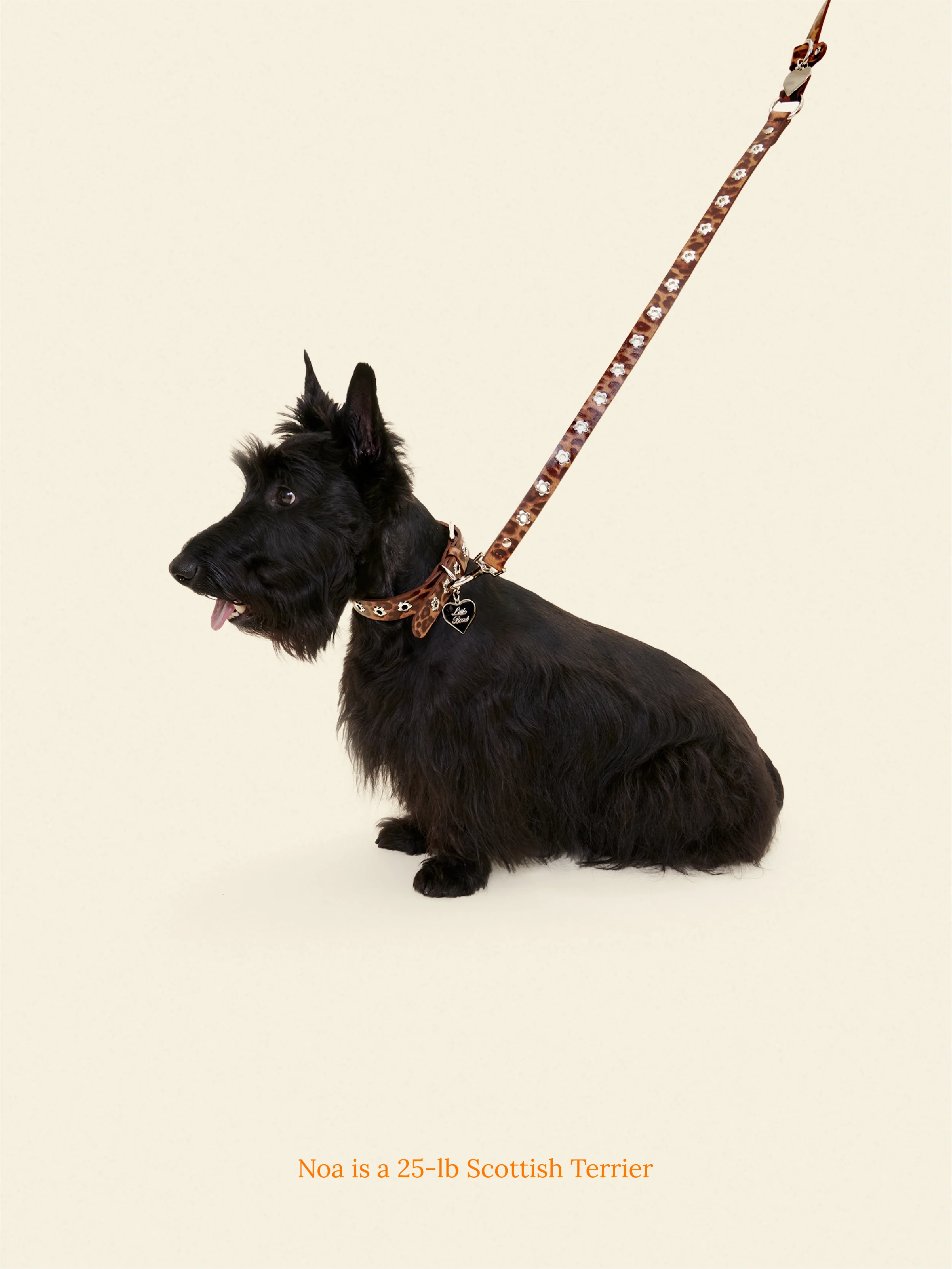 Hazel - Flower Power Leash