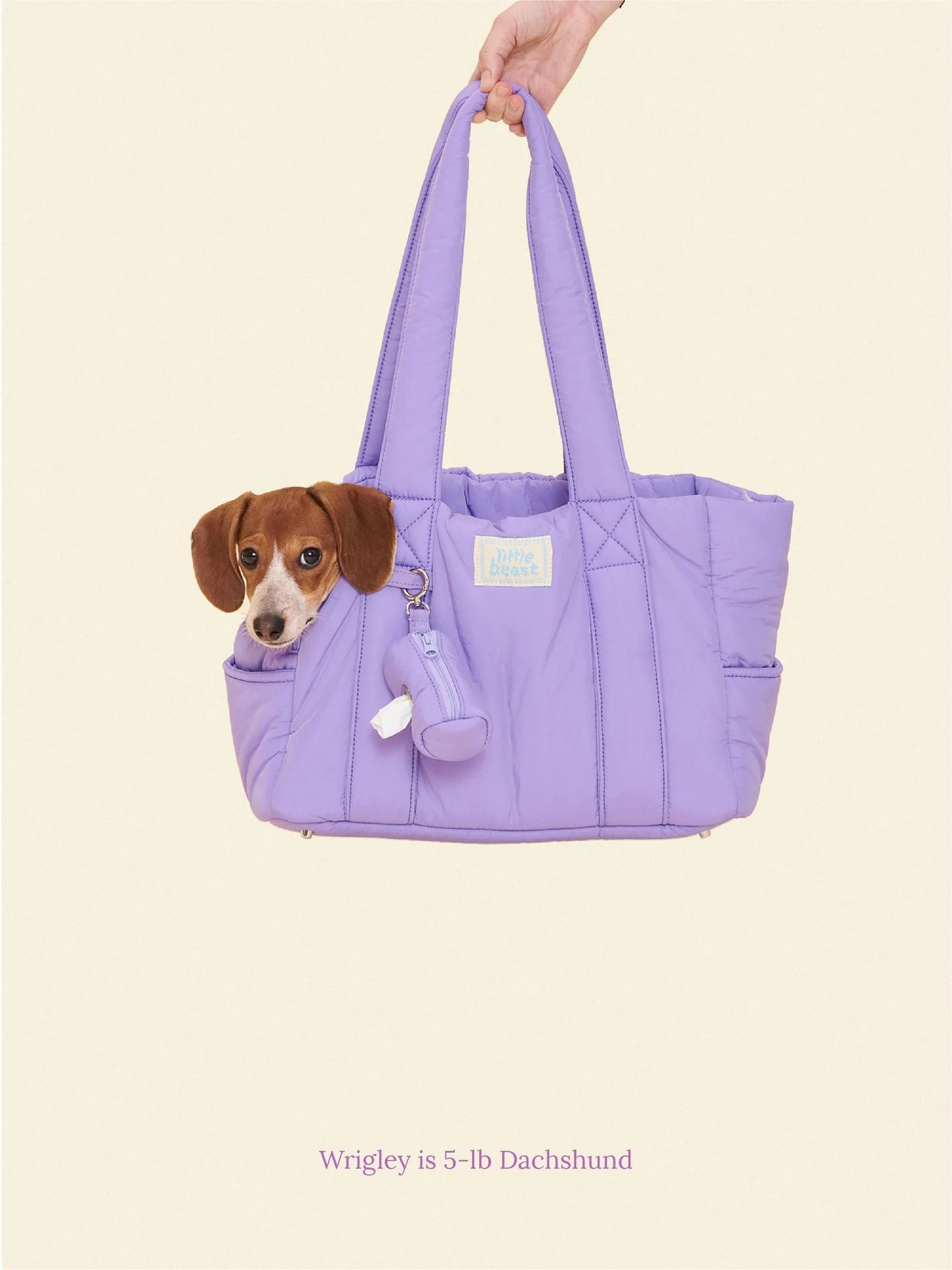 The Little Beast Carrier - Ube